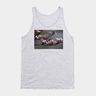 Bee, blossom and promise of spring Tank Top